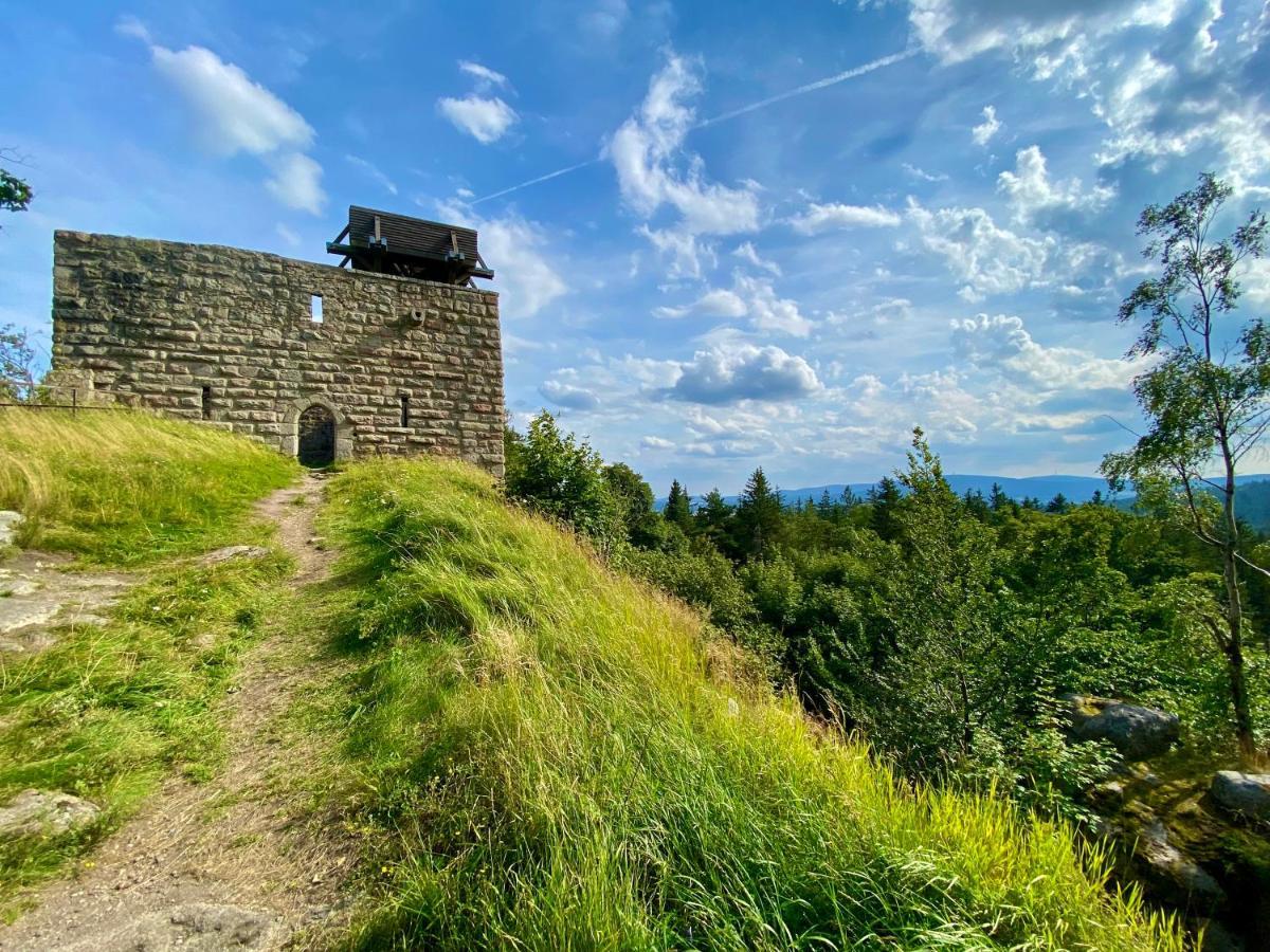 Ferienwohnung Oxana Im Naturpark Fichtelgebirge Schonwald  Esterno foto