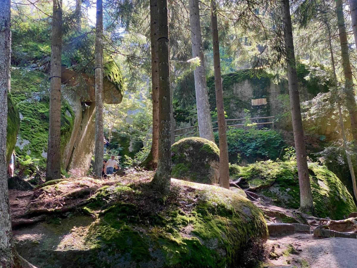 Ferienwohnung Oxana Im Naturpark Fichtelgebirge Schonwald  Esterno foto
