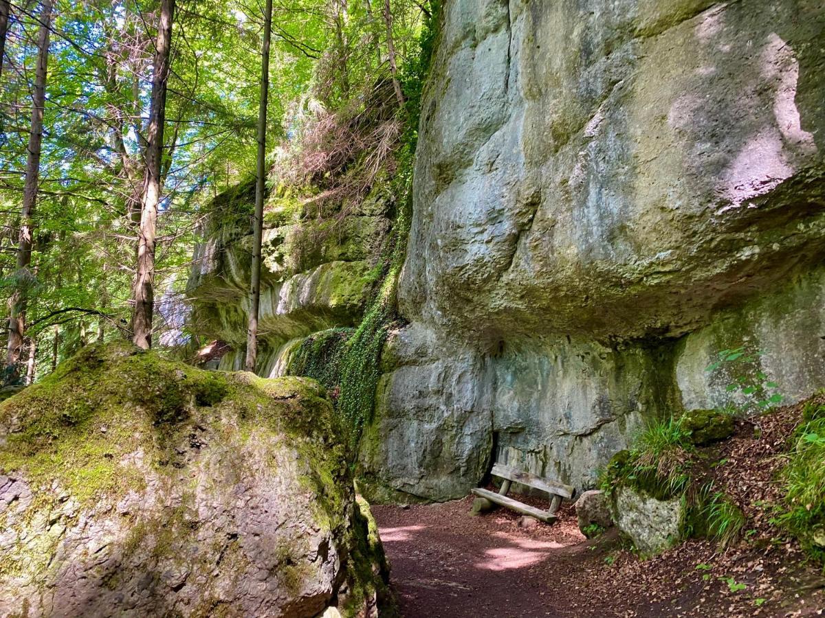 Ferienwohnung Oxana Im Naturpark Fichtelgebirge Schonwald  Esterno foto