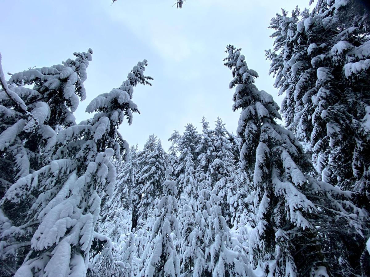 Ferienwohnung Oxana Im Naturpark Fichtelgebirge Schonwald  Esterno foto