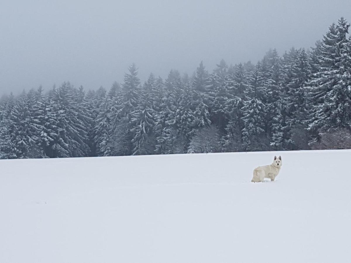 Ferienwohnung Oxana Im Naturpark Fichtelgebirge Schonwald  Esterno foto