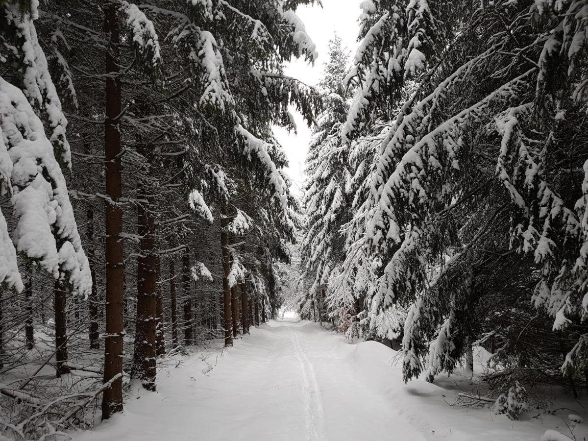 Ferienwohnung Oxana Im Naturpark Fichtelgebirge Schonwald  Esterno foto