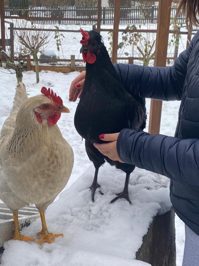 Ferienwohnung Oxana Im Naturpark Fichtelgebirge Schonwald  Esterno foto